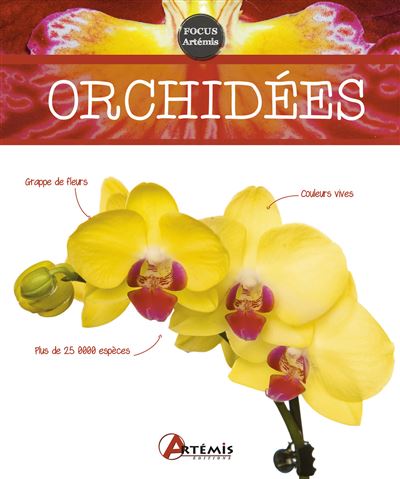 Orchidées -  Collectif - relié