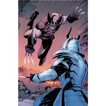 X of Swords T01 - Edition collector - Compte ferme
