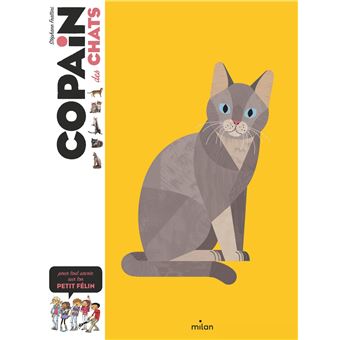 Copain Des Chats Cartonne Stephane Frattini Benjamin Flouw Livre Tous Les Livres A La Fnac