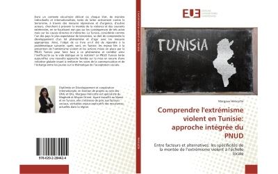Comprendre l'extrémisme violent en Tunisie: approche intégrée du PNUD