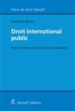 DROIT INTERNATIONAL PUBLIC 2019