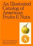 An Illustrated Catalogue of American Fruits & Nuts
