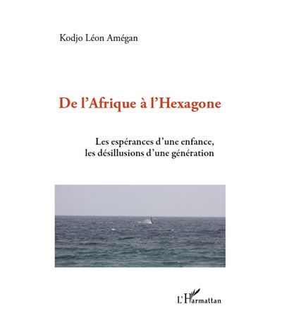 De l'Afrique à l'Hexagone