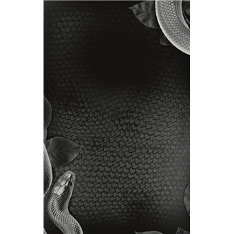 La Remontée de Lilith