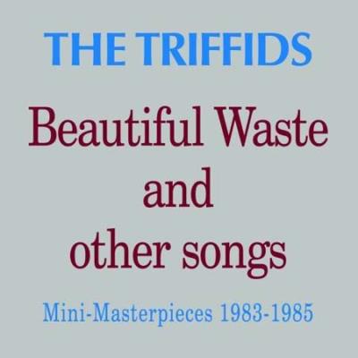 Beautiful Waste and other songs Mini-Masterpieces 1983-1985