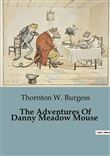 The Adventures Of Danny Meadow Mouse