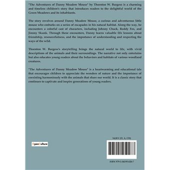 The Adventures Of Danny Meadow Mouse