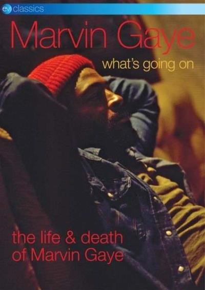 What's going on : The life & death of Marvin Gaye - DVD