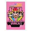 Poster Supers Nanas