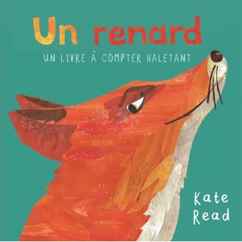 Un renard