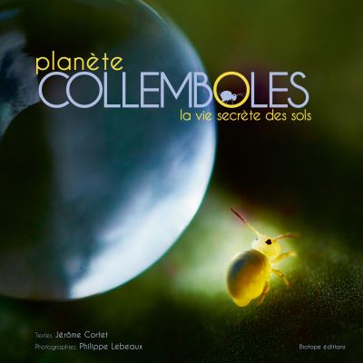 Planète collemboles La vie secrète des sols
