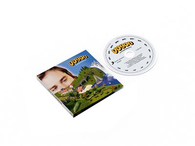 Les Royaumes Minuscules - Voyou - CD album - Achat & prix | fnac