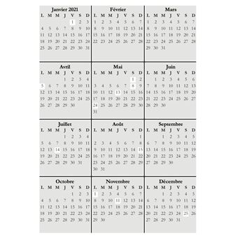 Agenda 2021 du Professionnel en Marketing de Réseau