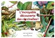 L'incroyable découverte des coccinelles !