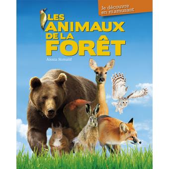 Les Animaux De La Foret Relie Alexia Romatif Achat Livre Fnac
