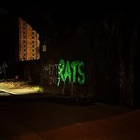 Rule The World Vinyle Vert
