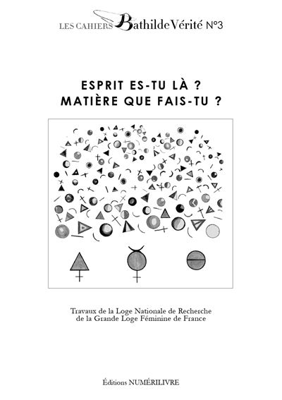 Esprit es-tu là ? Matière que fais-tu ? - Collectif - Numerilivre Eds - broché - Essai