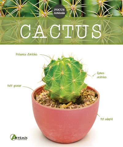 Cactus - Collectif - relié