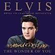 The Wonder Of You Double