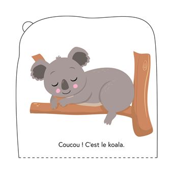 Mini qui se cache - Les animaux du monde