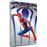 Spider-ManAmazing Spider-Man Legacy DVD_0