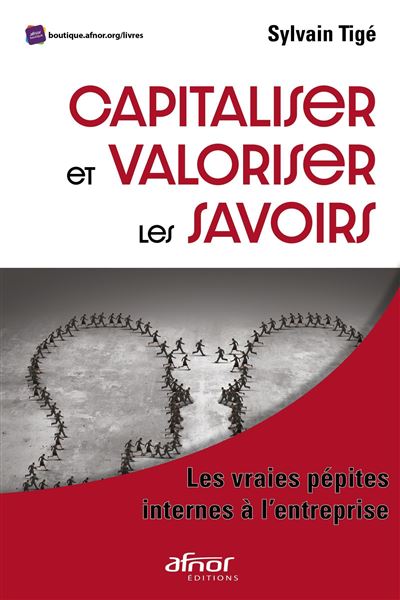 Capitaliser et valoriser les savoirs Les vraies pépites internes à l'entreprise - Sylvain Tigé - Afnor - broché - Etude - Afnor