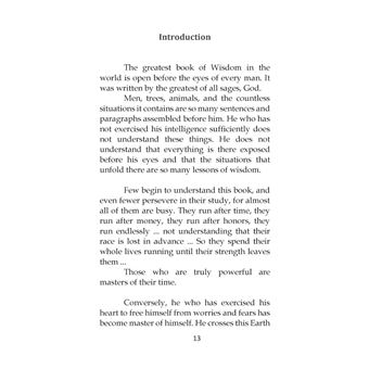 Wisdom of Warrior of light