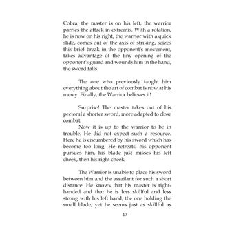 Wisdom of Warrior of light