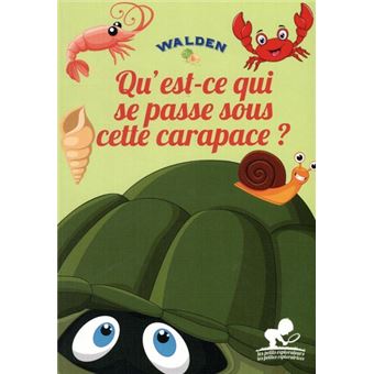 Qu’est-ce qui se passe sous cette carapace ?