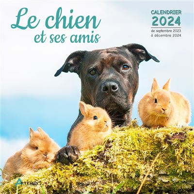 Calendrier Le chat et ses amis 2024 - broché - Collectif, Livre tous les  livres à la Fnac