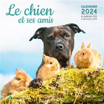 Calendrier chevalet Forêts des Pyrénées 2024 - Béatrice Dussarps
