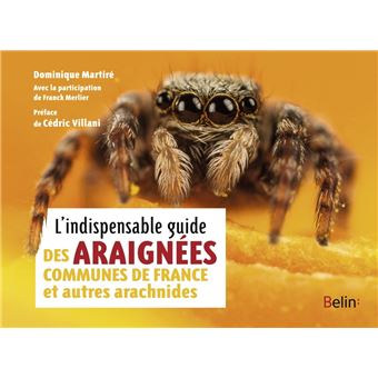L'indispensable guide des araignées de France et autres arachnides