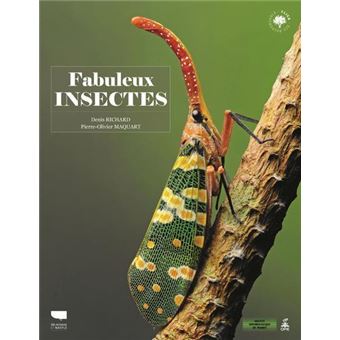 Fabuleux insectes