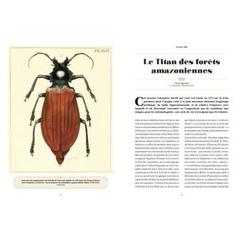 Fabuleux insectes