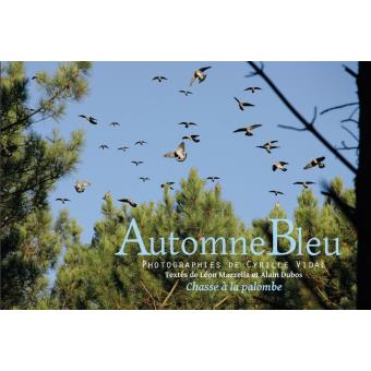 Automne bleu
