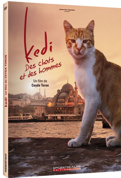 Kedi des chats et des hommes