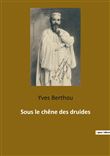 Sous le chêne des druides