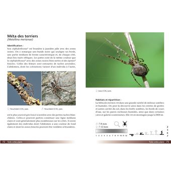 Araignées, guide de terrain
