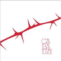 couverture de : Des angles et des &eacute;pines