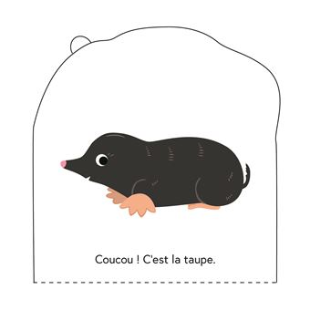 Mini qui se cache - Les animaux du jardin
