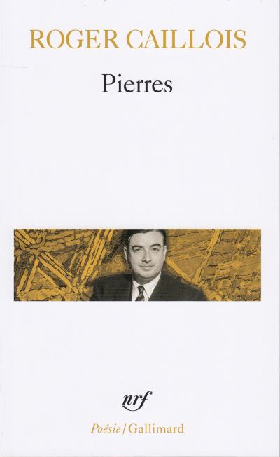 Pierres-suivi-d-autres-textes.jpg