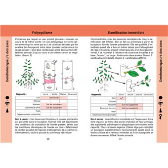 Evaluer la vitalité des arbres