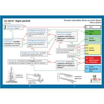 Evaluer la vitalité des arbres