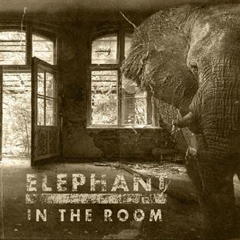 Elephant In The Room - Vinilo