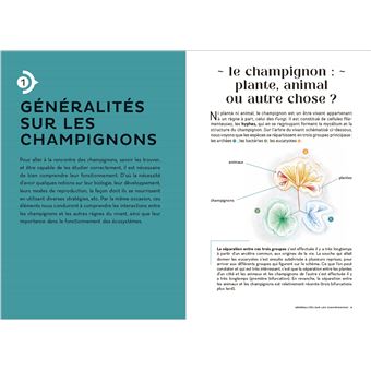 Les carnets du scarabée - Champignons
