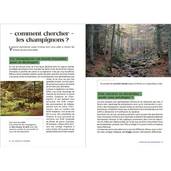 Les carnets du scarabée - Champignons