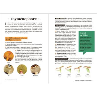 Les carnets du scarabée - Champignons