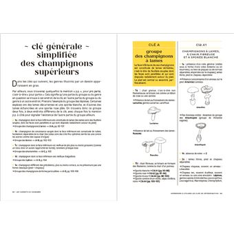 Les carnets du scarabée - Champignons