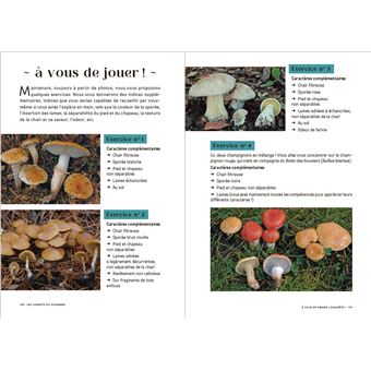Les carnets du scarabée - Champignons