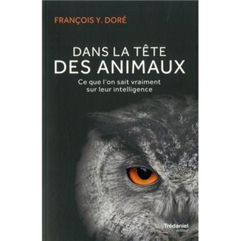 Dans la tête des animaux